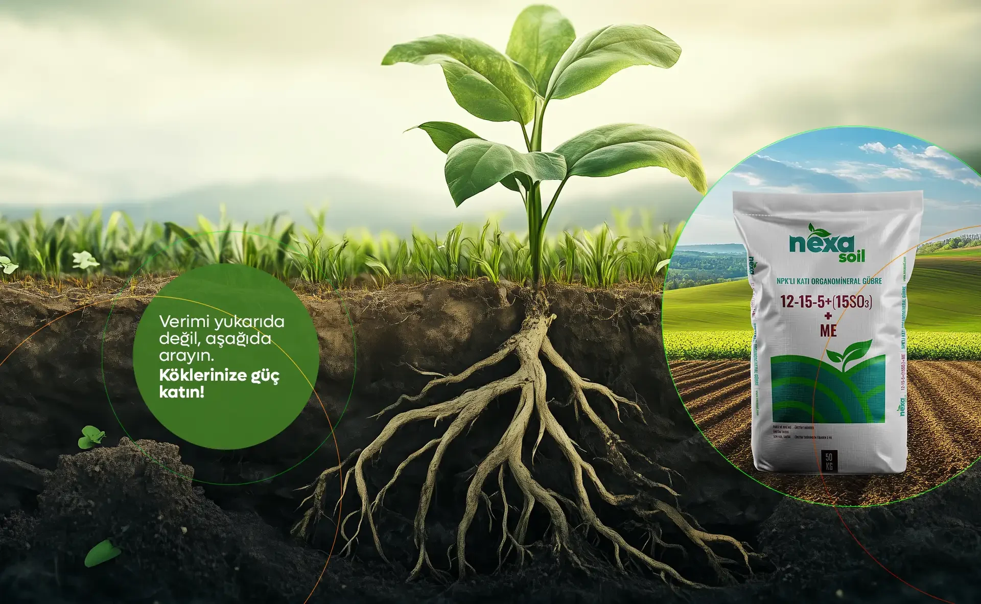 Post -verimi asagida arayın