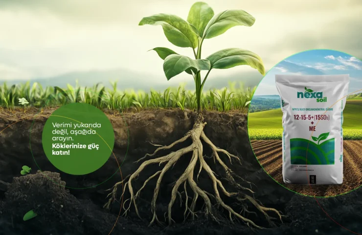 Post -verimi asagida arayın