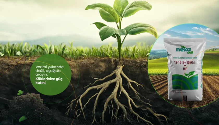 Post -verimi asagida arayın